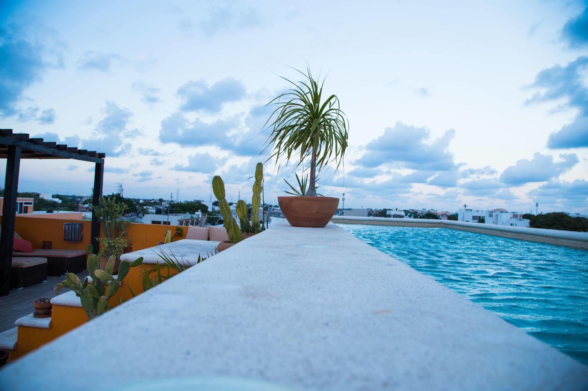 La Galeria By Bunik Hotel Playa del Carmen Exterior foto